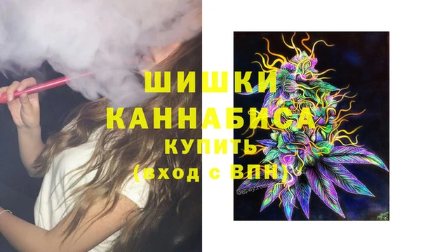 гидра Вязники